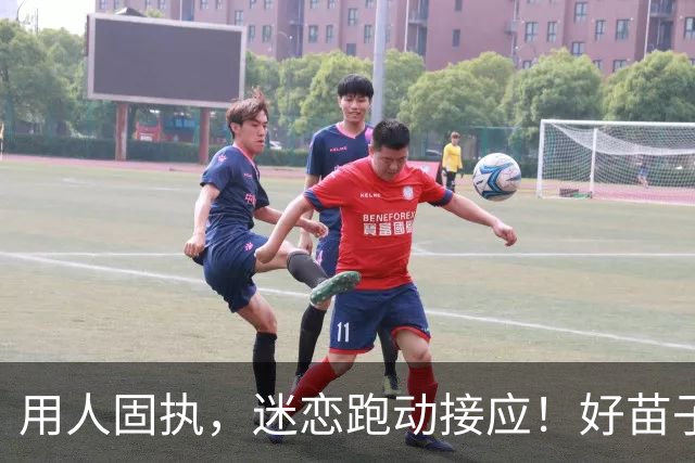 用人固执，迷恋跑动接应！好苗子到上海女排都毁了，张磊难辞其咎